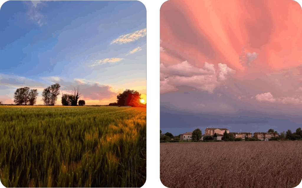 la campagna che circonda la frazione di Viconovo